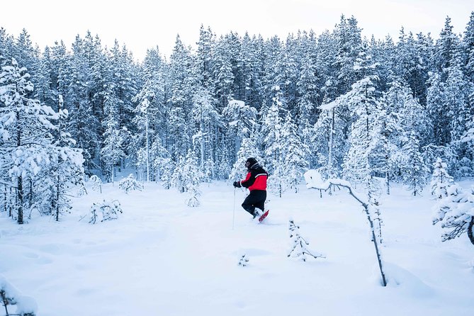 Wilderness Snowshoe Adventure - Common questions