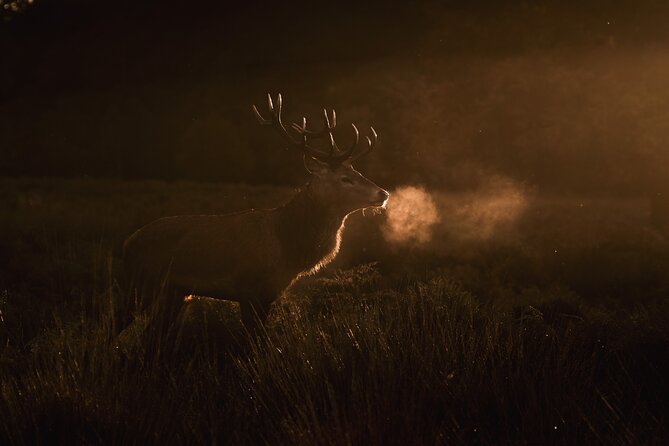 Wildlife Photography Workshop in Richmond Park in London - Workshop Etiquette