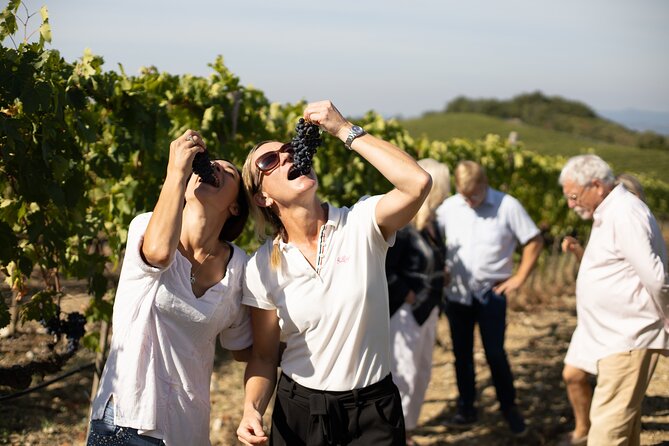 Winery Tour & Wine Tasting in Montalcino - Reviews Summary