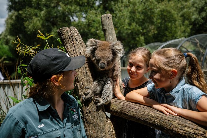 Wings Wildlife Park Shuttle, Burnie Shore Excursion - Guest Reviews and Feedback