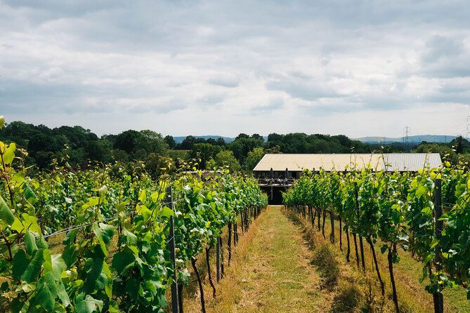 Yoga, Forest Bathing and Foraging Day Retreat Near Brighton - Traveler Reviews