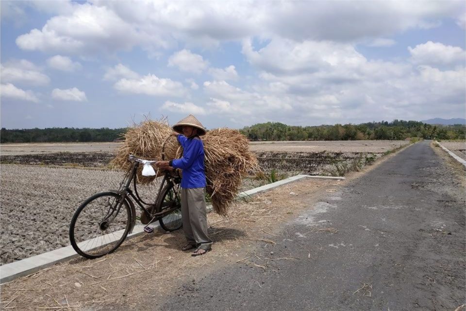 Yogyakarta: 3-Hour Countryside Guided Bike Tour - Common questions