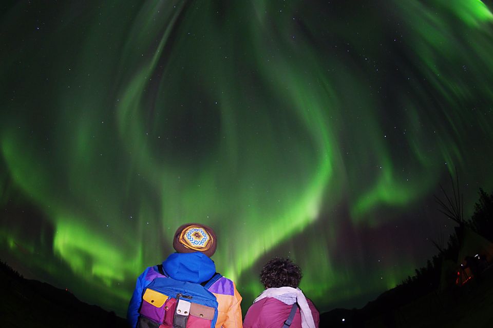 Yukon: Aurora Borealis Evening Viewing Tour - Common questions