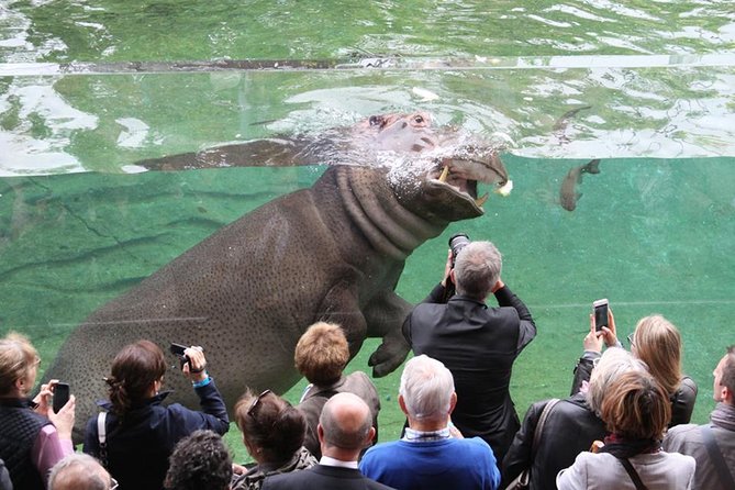 Zoo Of Beauval - Private Trip - Common questions