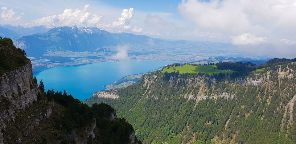 Zurich: Private Panoramic Alpine Tour - Positive Customer Feedback