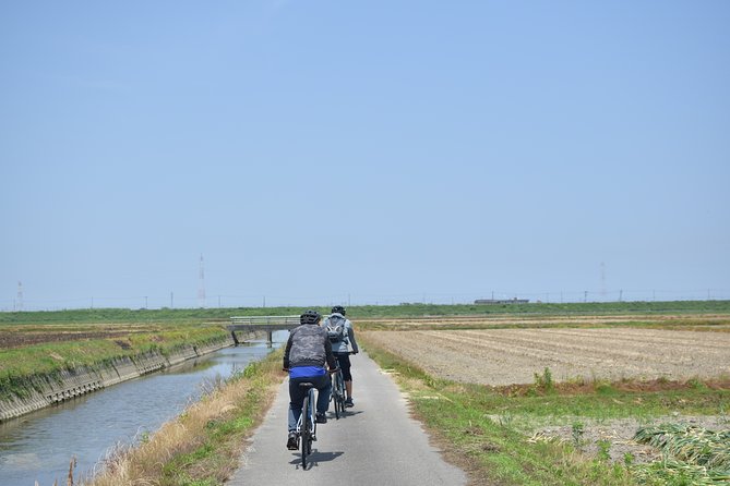 6－Day Cycling Tour in Shikoku - Enjoy Shikokus Best Spots by Bicycle - Key Points