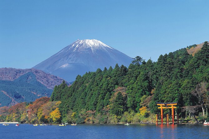 1 Day Private Tour in Mt.Fuji and Hakone English Speaking Driver - Customer Reviews