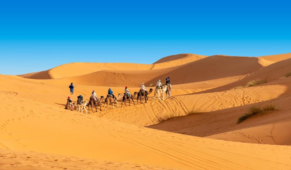 1 Night Camel Trek in Merzouga Desert - Last Words