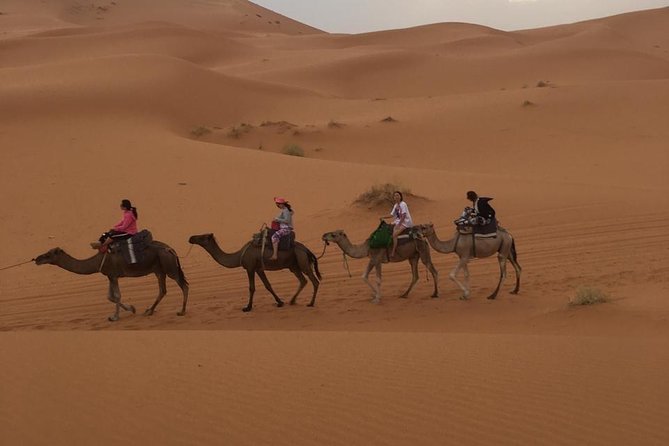 1 Night Luxury Camp Camel Ride - Activities and Options for Adventure