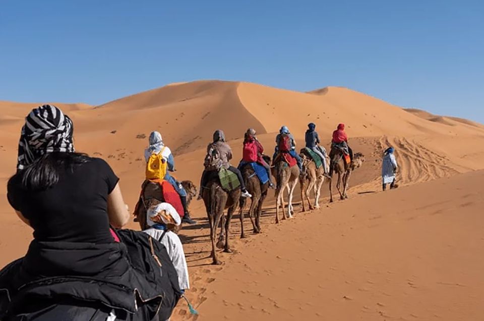 10-Day Journey: Tangier to Chefchaouen, Fes, Sahara - Sahara Safari: Camel Rides and Stars