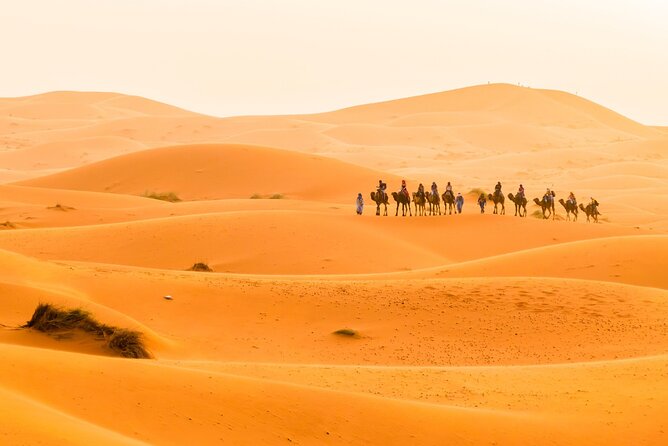 10 Days Tour From Casablanca to Marrakech via the Sahara Desert - Customer Service Details