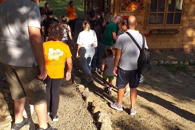 2-Hour Private Guided Activity Discovering Bees in Volterra - Participant Expectations and Guidelines
