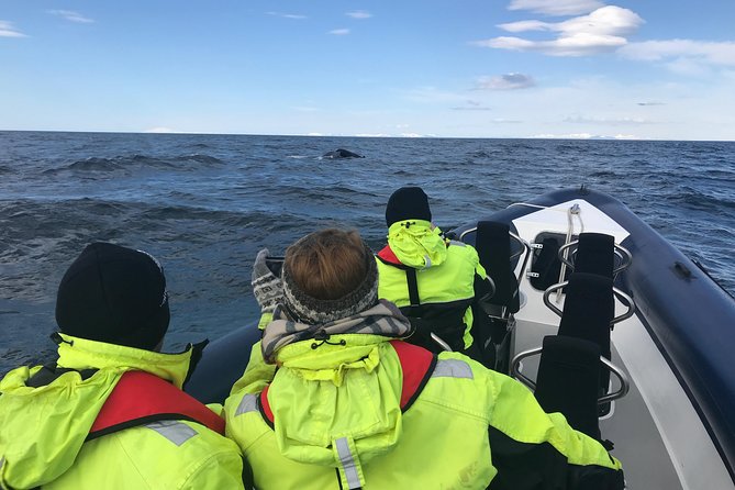 2-Hour RIB Boat Whale Watching Tour From Reykjavik - Common questions