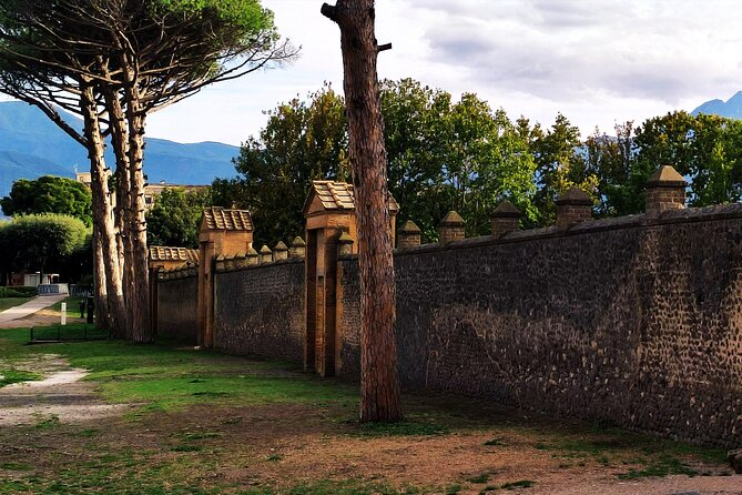 2 Hours Private Tour in Pompeii With Archaeologist - Common questions