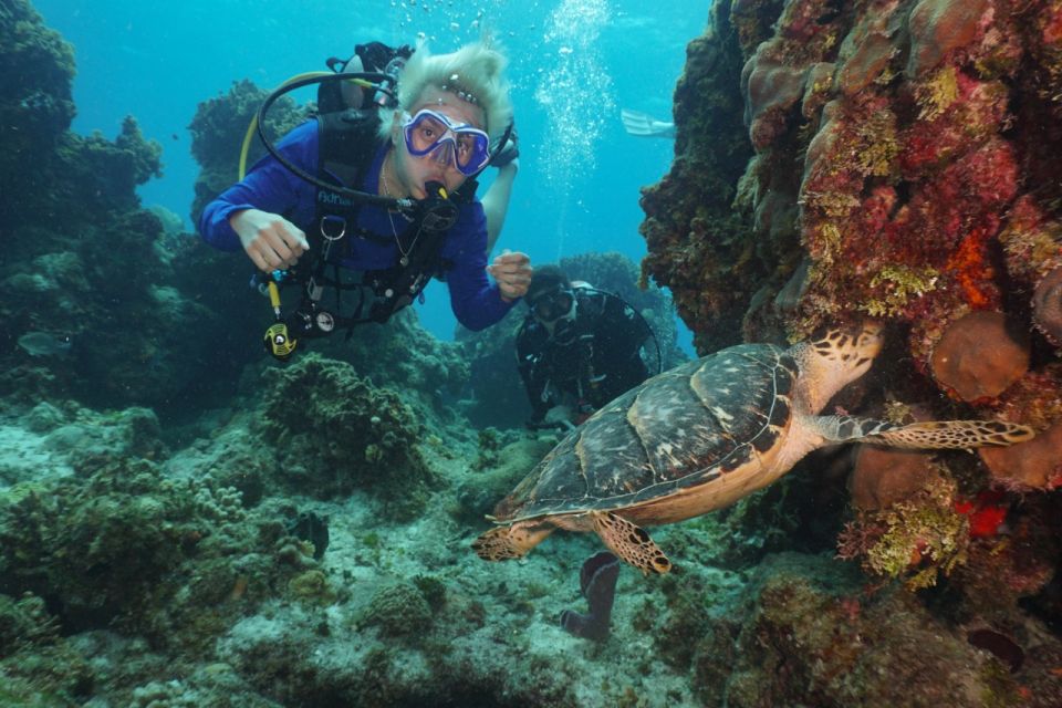 2 Tank Morning Cozumel Dives for Certified Divers - Last Words