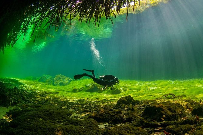 2 Tanks Cenote Diving Adventure in Tulum for Certified Divers - Cancellation Policy