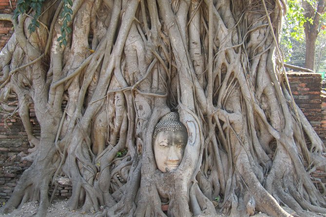 3-Day Bangkok and Ayutthaya Private Guided Tour - Last Words