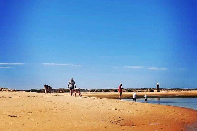 3 Hour Boat Tour in Ria Formosa - Last Words