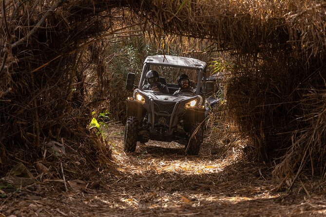 3-Hour Tour by Buggy or Quad in the Algarve - Common questions