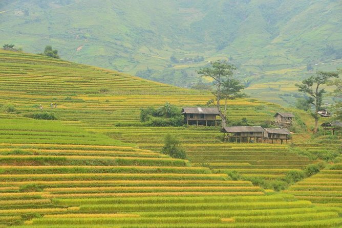 3-Night Sapa Trek and Homestay With Round Trip Transfer From Hanoi - Trekking Itinerary