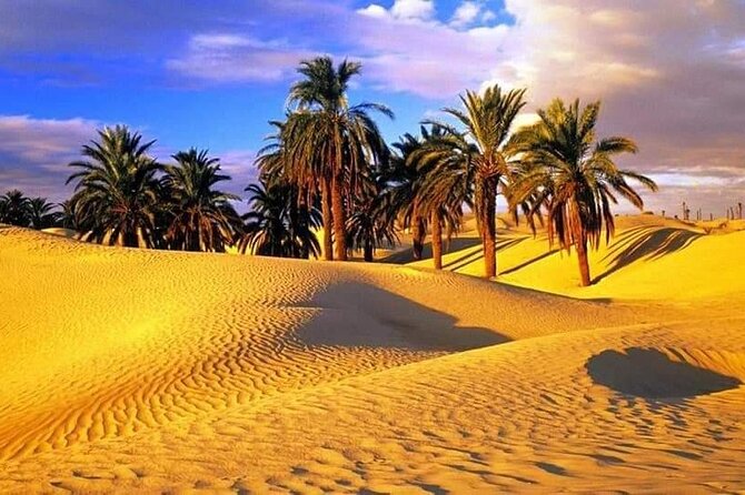 4-Day Private Tour: Sahara and Djerba Island From Tunis and Hammamet - Tour Summary