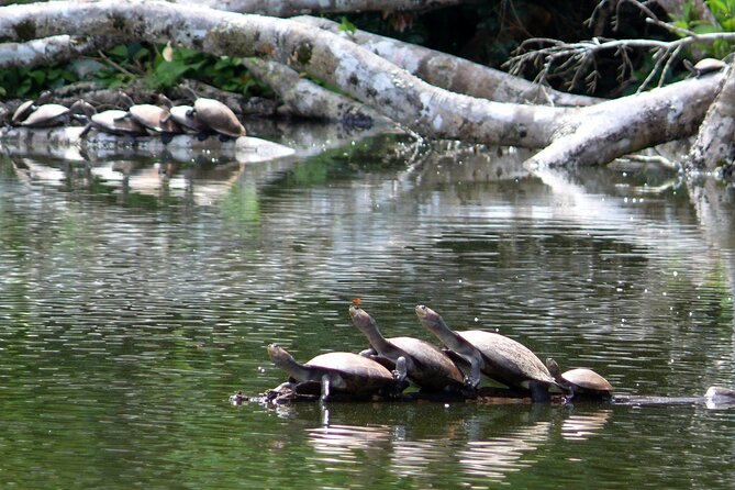 4-Day Private Tour to Manu National Park From Cusco - Last Words