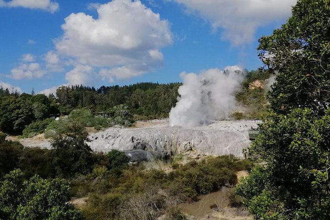 4-Day Wellington to Auckland via Rotorua Tour - Reviews Analysis