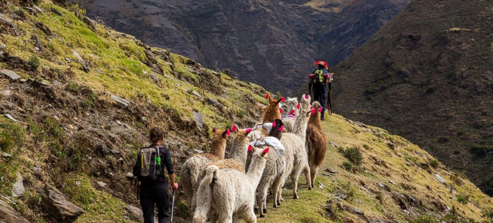 4 Days Trekking Through the Lares Valley Machu Picchu - Last Words