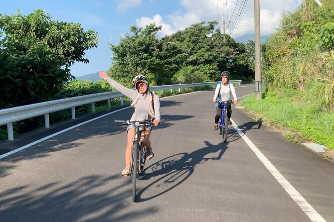 4 Hour Guided Cycling Experience in Yakushima - Last Words