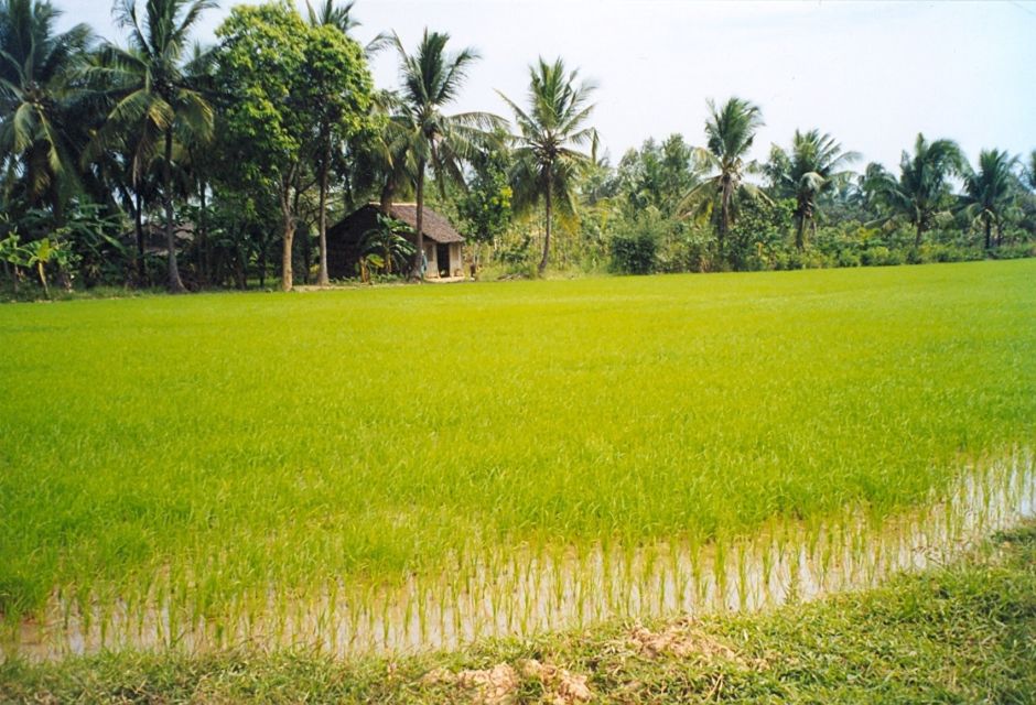 A Day Tour to Cu Chi Tunnels and Mekong Delta - Common questions