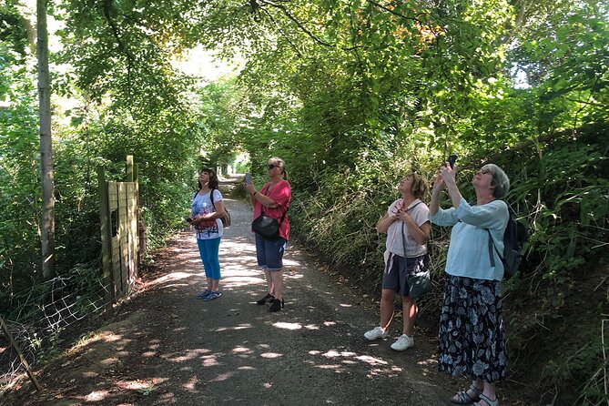 A Tour of Glastonbury, Guided by the Trees. - Last Words