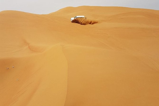 Abu Dhabi Desert Safari 4x4, BBQ Dinner, Camel Ride - Common questions