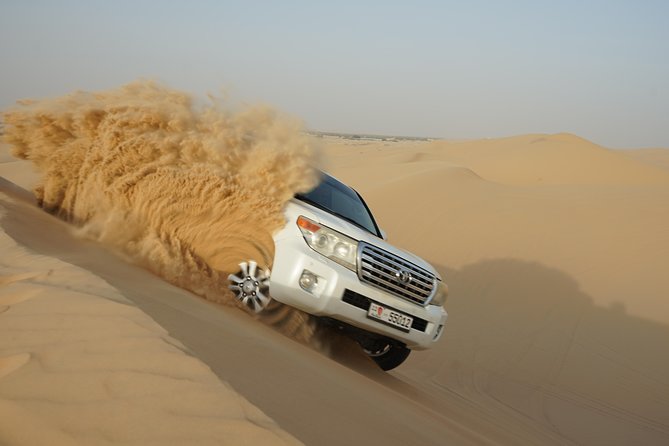 Abu Dhabi Half Day Desert Safari - Overall Experience