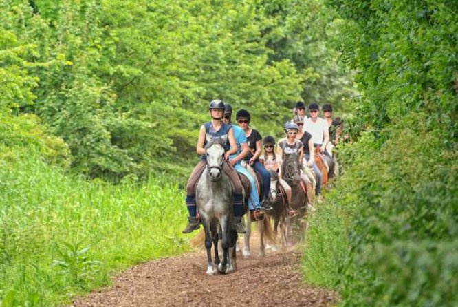 Agadir 2-Hour Private Horse Riding Experience With Pickup - Copyright and Company Information