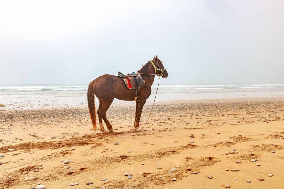 Agadir: Beach and Ranch Horse Riding Tour - Common questions