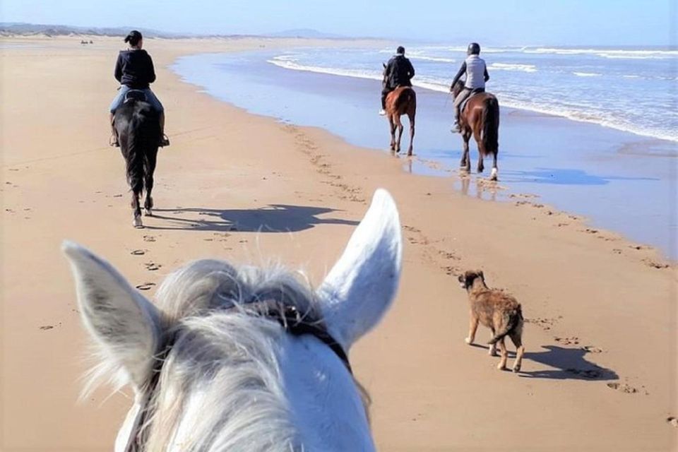 Agadir: Beach Sunset Horse Riding Tour With Transfer - Last Words