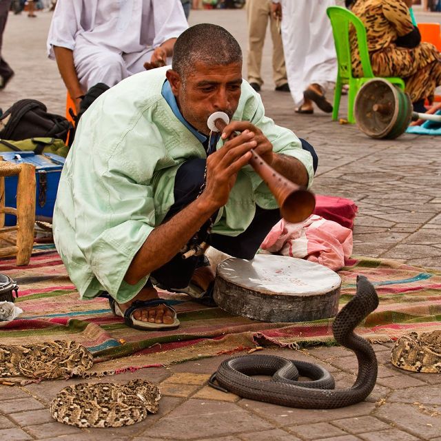 Agadir: Marrakech Day Trips With Professional Guide - Souks and Handicraft Exploration