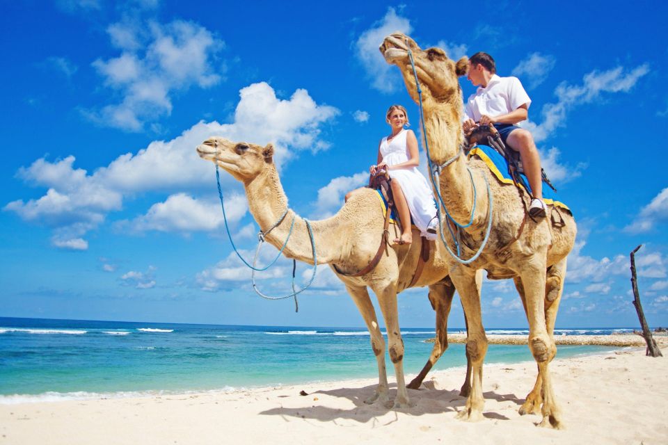 Agadir or Taghazout: Camel Ride Experience in River or Beach - Last Words