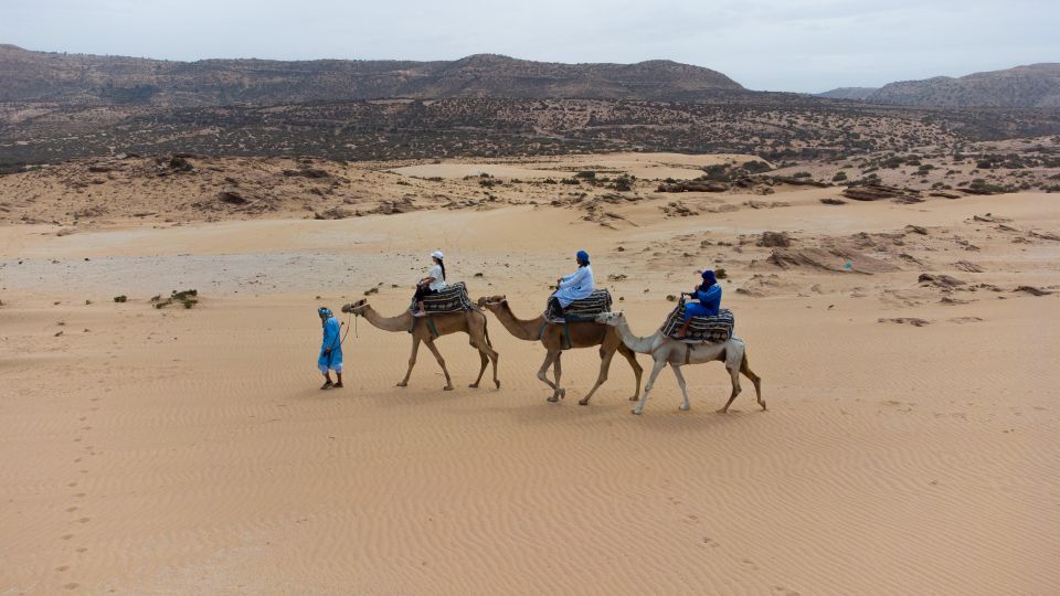 Agadir or Taghazout : Camel Ride in Desert Sand Dunes - Last Words