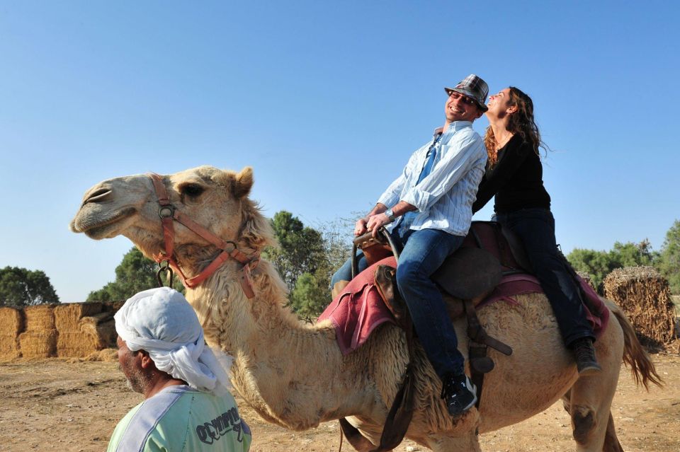 Agadir or Taghazout: Camel Riding and Flamingo River Tour - Last Words