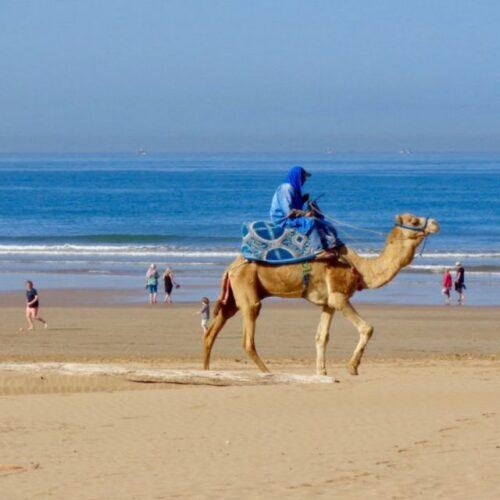Agadir or Taghazout City Tour With Big Market - Highlights
