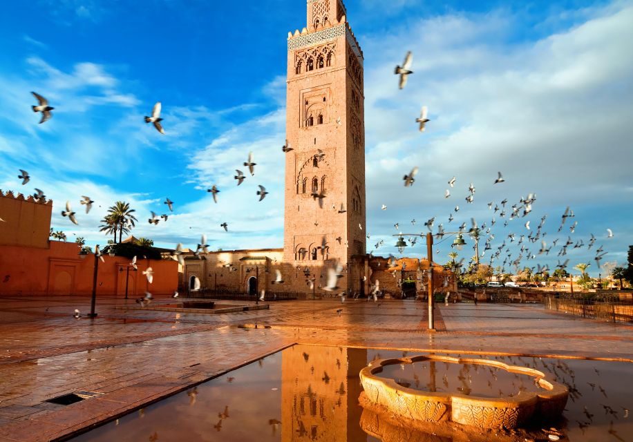 Agadir or Taghazout: Marrakech Discovery Full-Day Trip - Independent Exploration Suggestions