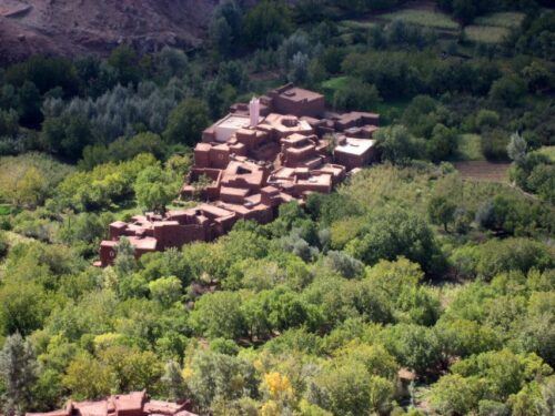 Agadir or Taghazout or Port: Paradise Valley Trip & Lunch - Last Words
