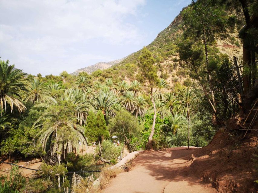 Agadir or Taghazout: Paradise Valley Atlas Mountain & Lunch - Lunch Upgrade Offer