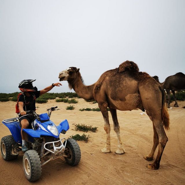 Agadir or Taghazout: Quad Bike Beach and Dunes Ride & Snacks - Reserve Now, Pay Later Option