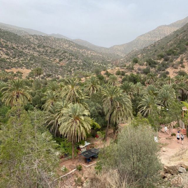 Agadir Paradise Valley Guided Tour With Lunch - Common questions