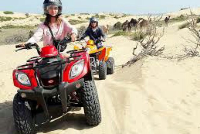 Agadir Quad Biking and Horse Riding With Snacks - Last Words