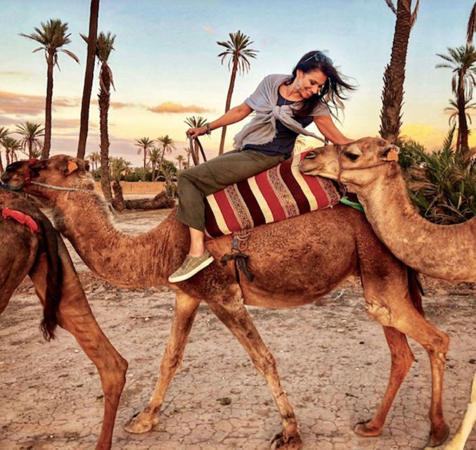 Agadir: Sunset Camel Ride - Flamingo River BBQ & Couscous - Last Words