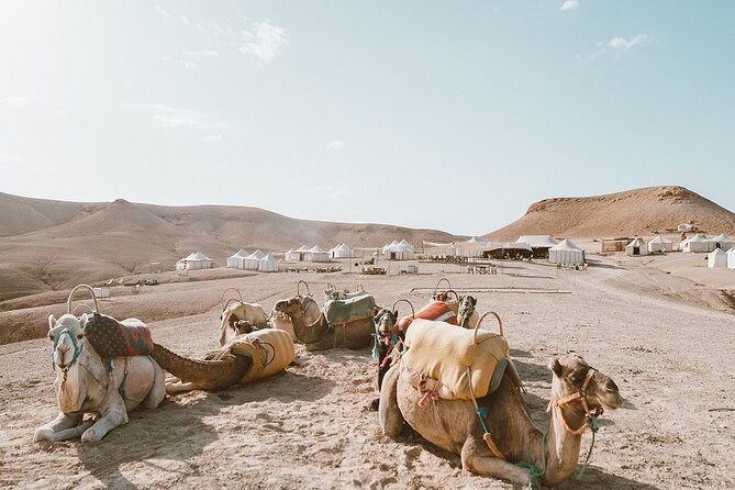 Agafay Desert Day Trip From Marrakech - Last Words