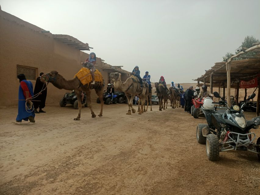 Agafay Desert Sunset Camel Ride Experience With Dinner - Last Words